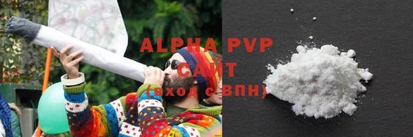шишки Бежецк