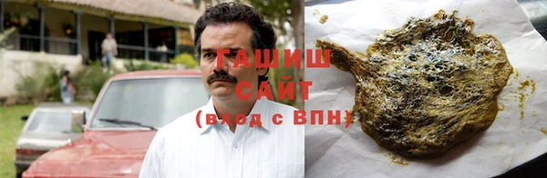 шишки Верея