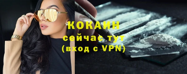 мяу мяу мука Верхний Тагил