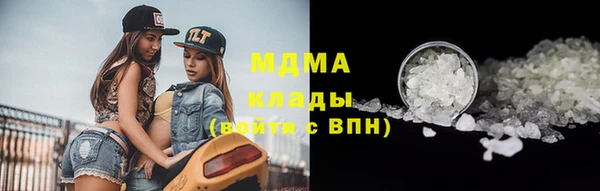 шишки Верея