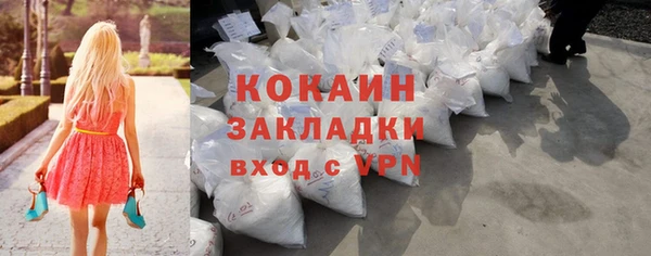 прущие грибы Аша